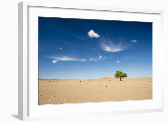 Elm Tree (Ulmus) in Gobi Desert, South Mongolia-Inaki Relanzon-Framed Photographic Print