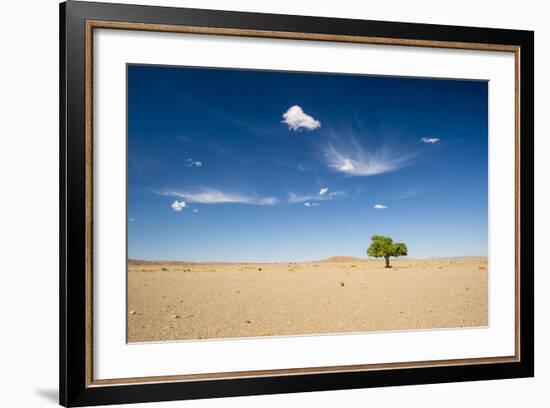 Elm Tree (Ulmus) in Gobi Desert, South Mongolia-Inaki Relanzon-Framed Photographic Print