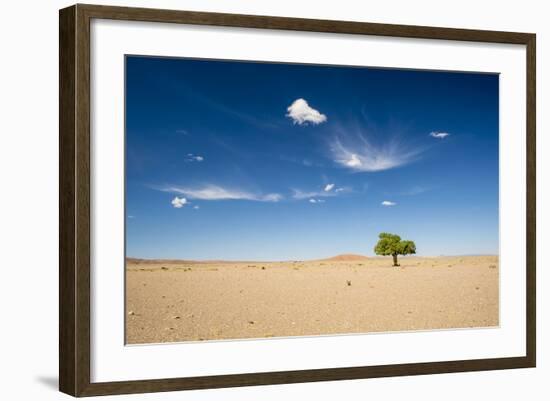 Elm Tree (Ulmus) in Gobi Desert, South Mongolia-Inaki Relanzon-Framed Photographic Print