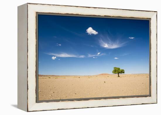 Elm Tree (Ulmus) in Gobi Desert, South Mongolia-Inaki Relanzon-Framed Premier Image Canvas