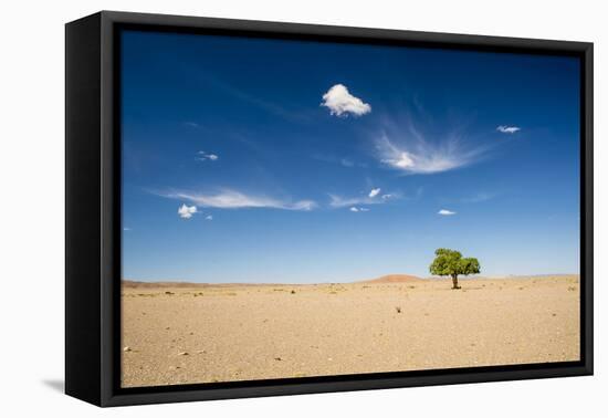 Elm Tree (Ulmus) in Gobi Desert, South Mongolia-Inaki Relanzon-Framed Premier Image Canvas