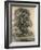 Elm Trees in Old Hall Park, East Bergholt, 1817-John Constable-Framed Giclee Print