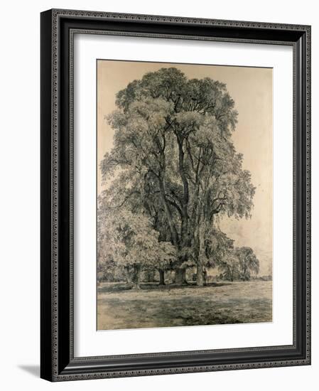 Elm Trees in Old Hall Park, East Bergholt, 1817-John Constable-Framed Giclee Print