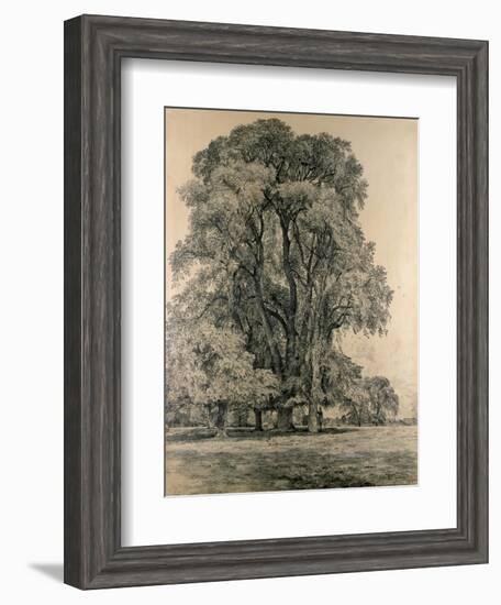 Elm Trees in Old Hall Park, East Bergholt, 1817-John Constable-Framed Giclee Print