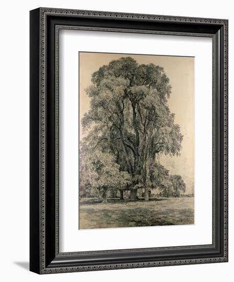 Elm Trees in Old Hall Park, East Bergholt, 1817-John Constable-Framed Giclee Print