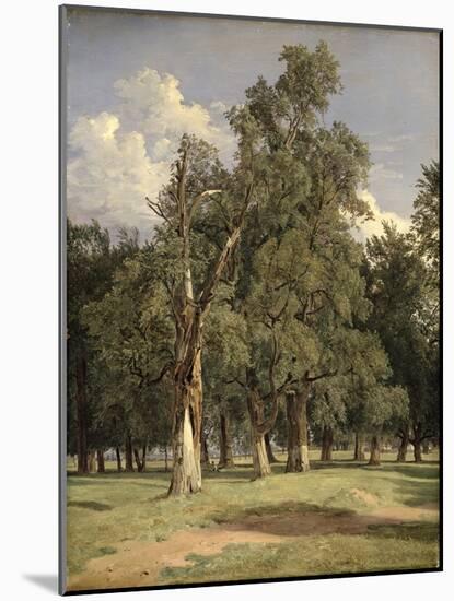 Elm Trees in Prater, 1831-Ferdinand Georg Waldmuller-Mounted Giclee Print