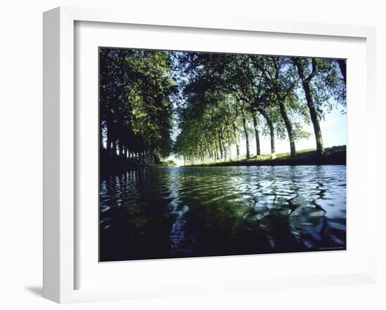 Elm Trees Line Languedoe Canal, Trebes, Southern France East of Toulouse-Walter Sanders-Framed Photographic Print