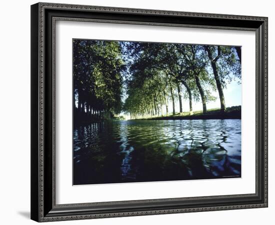 Elm Trees Line Languedoe Canal, Trebes, Southern France East of Toulouse-Walter Sanders-Framed Photographic Print