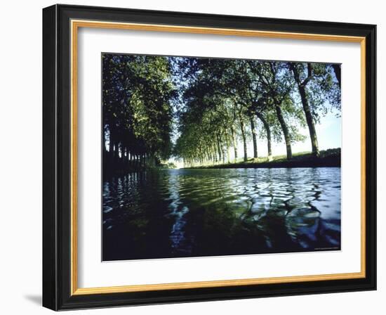 Elm Trees Line Languedoe Canal, Trebes, Southern France East of Toulouse-Walter Sanders-Framed Photographic Print