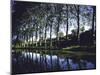 Elm Trees Lining Canal at Trebes, Thomas Jefferson's Journey in France-Walter Sanders-Mounted Photographic Print