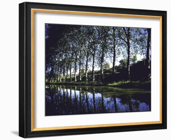 Elm Trees Lining Canal at Trebes, Thomas Jefferson's Journey in France-Walter Sanders-Framed Photographic Print