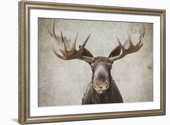 Elmer-Natasia Cook-Framed Art Print