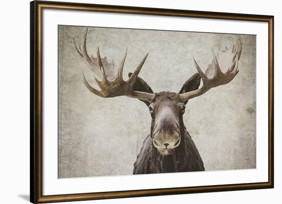 Elmer-Natasia Cook-Framed Art Print