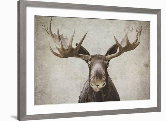 Elmer-Natasia Cook-Framed Art Print