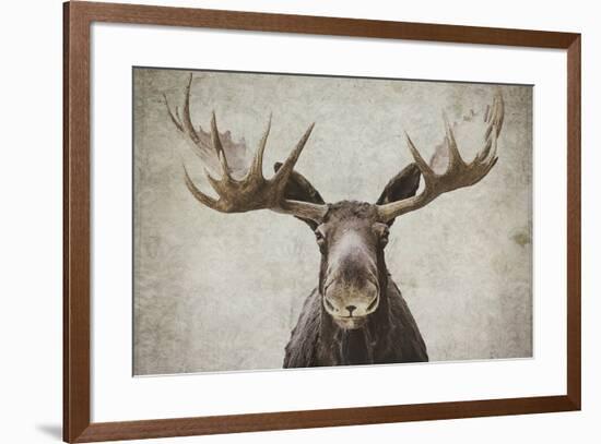 Elmer-Natasia Cook-Framed Art Print