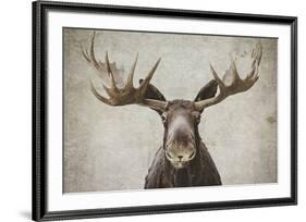 Elmer-Natasia Cook-Framed Art Print