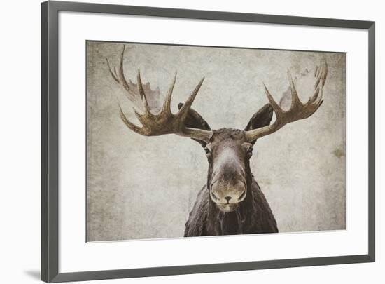 Elmer-Natasia Cook-Framed Art Print