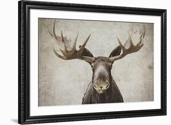 Elmer-Natasia Cook-Framed Art Print