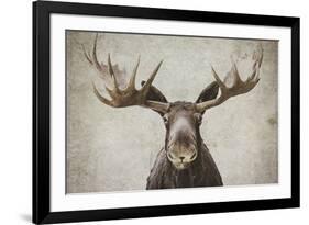 Elmer-Natasia Cook-Framed Art Print