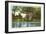 Elmwood Park, Roanoke, Virginia-null-Framed Art Print