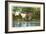 Elmwood Park, Roanoke, Virginia-null-Framed Art Print