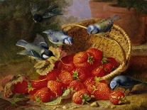 A Feast of Strawberries (Blue Tits) by Eloise Harriet Stannard-Eloise Harriet Stannard-Giclee Print