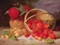 Still Life with Raspberries and a Bunch of Grapes on a Marble Ledge, 1882-Eloise Harriet Stannard-Framed Giclee Print