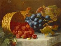 Still Life with Raspberries and a Bunch of Grapes on a Marble Ledge, 1882-Eloise Harriet Stannard-Giclee Print
