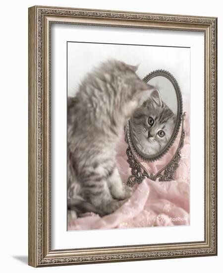 Eloise-Rachael Hale-Framed Photographic Print