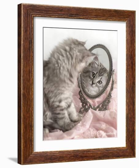 Eloise-Rachael Hale-Framed Photographic Print