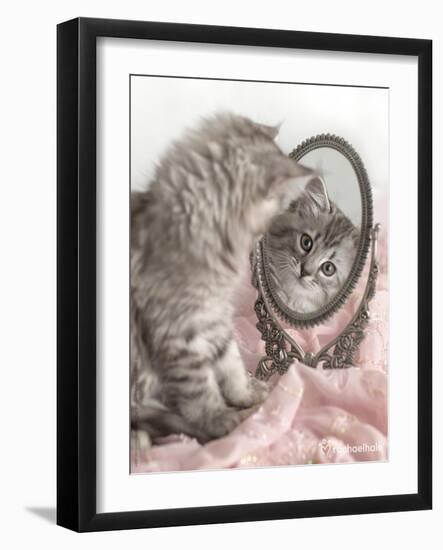 Eloise-Rachael Hale-Framed Photographic Print