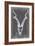 Elongated Mount I-Ethan Harper-Framed Art Print