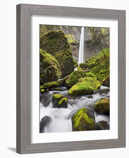 Elowah Falls and Mccord Creek, Columbia River Gorge, Oregon, USA-Jamie & Judy Wild-Framed Photographic Print