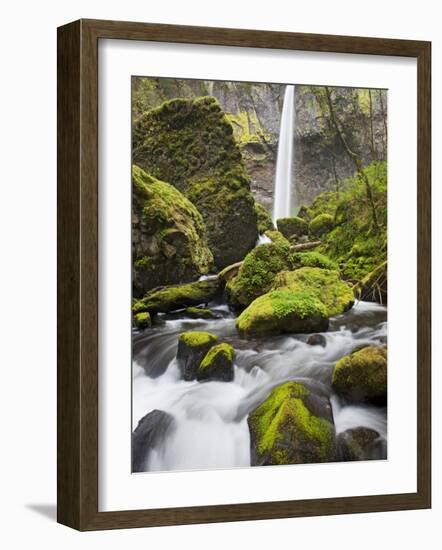 Elowah Falls and Mccord Creek, Columbia River Gorge, Oregon, USA-Jamie & Judy Wild-Framed Photographic Print