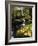 Elowah Falls, Columbia River Gorge, Oregon, USA-Stuart Westmorland-Framed Photographic Print