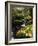 Elowah Falls, Columbia River Gorge, Oregon, USA-Stuart Westmorland-Framed Photographic Print