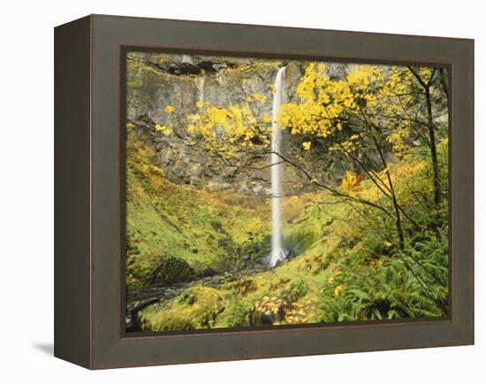 Elowah Falls in Autumn, Columbia Gorge National Scenic Area, Oregon, USA-Stuart Westmoreland-Framed Premier Image Canvas