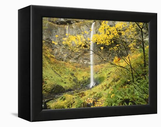 Elowah Falls in Autumn, Columbia Gorge National Scenic Area, Oregon, USA-Stuart Westmoreland-Framed Premier Image Canvas