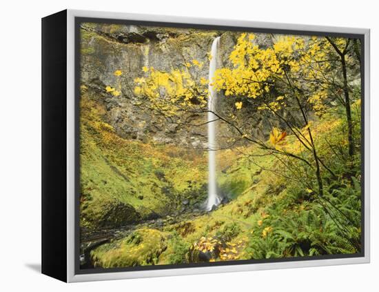 Elowah Falls in Autumn, Columbia Gorge National Scenic Area, Oregon, USA-Stuart Westmoreland-Framed Premier Image Canvas