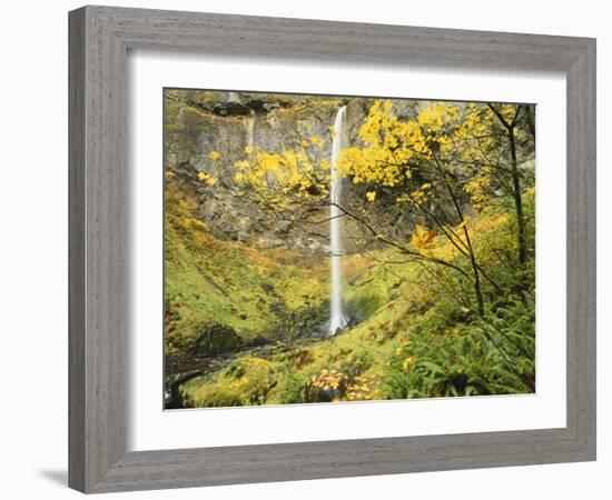 Elowah Falls in Autumn, Columbia Gorge National Scenic Area, Oregon, USA-Stuart Westmoreland-Framed Photographic Print