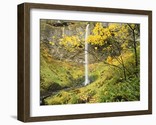 Elowah Falls in Autumn, Columbia Gorge National Scenic Area, Oregon, USA-Stuart Westmoreland-Framed Photographic Print