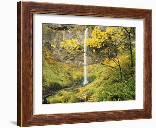 Elowah Falls in Autumn, Columbia Gorge National Scenic Area, Oregon, USA-Stuart Westmoreland-Framed Photographic Print