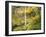 Elowah Falls in Autumn, Columbia Gorge National Scenic Area, Oregon, USA-Stuart Westmoreland-Framed Photographic Print