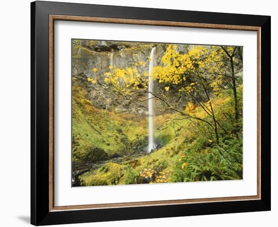 Elowah Falls in Autumn, Columbia Gorge National Scenic Area, Oregon, USA-Stuart Westmoreland-Framed Photographic Print