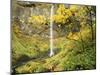 Elowah Falls in Autumn, Columbia Gorge National Scenic Area, Oregon, USA-Stuart Westmoreland-Mounted Photographic Print