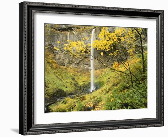 Elowah Falls in Autumn, Columbia Gorge National Scenic Area, Oregon, USA-Stuart Westmoreland-Framed Photographic Print