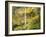 Elowah Falls in Autumn, Columbia Gorge National Scenic Area, Oregon, USA-Stuart Westmoreland-Framed Photographic Print