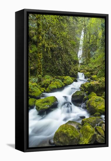 Elowah Falls on Mccord Creek, Columbia Gorge, Oregon, USA-Chuck Haney-Framed Premier Image Canvas