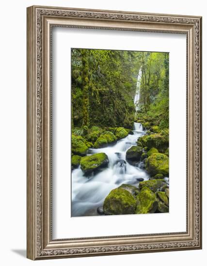 Elowah Falls on Mccord Creek, Columbia Gorge, Oregon, USA-Chuck Haney-Framed Photographic Print