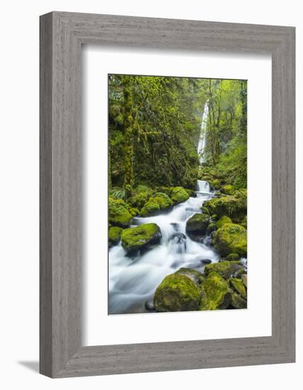 Elowah Falls on Mccord Creek, Columbia Gorge, Oregon, USA-Chuck Haney-Framed Photographic Print